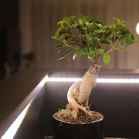 Super-apartamenty Vip Lägenhet Poznań