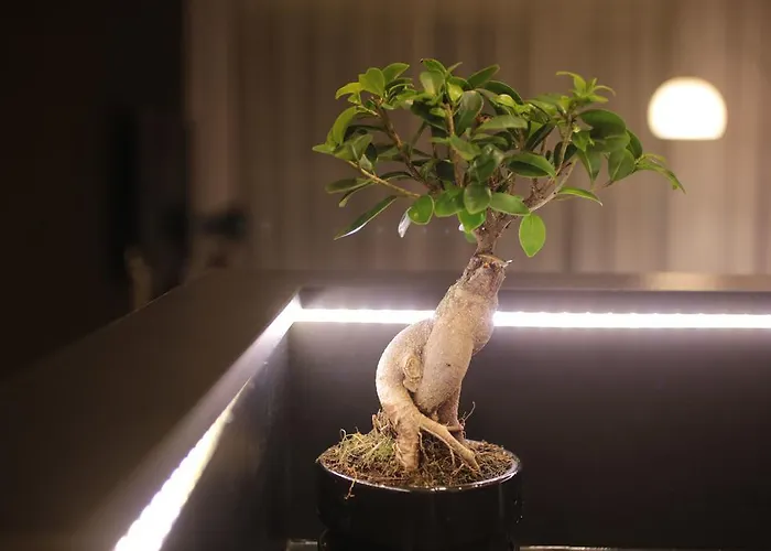 Super-apartamenty Vip Apartamento Poznan